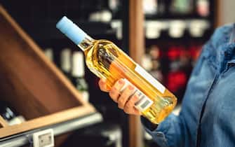 White wine bottle in hand in liquor store. Customer buying alcohol. Woman choosing the right bottle of chardonnay or riesling. Alcoholic beverages.