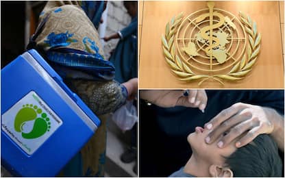 Allarme Oms: rischio polio insidia anche i Paesi ricchi. Cosa sappiamo