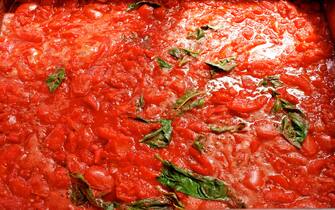 Home made tomatoe sauce with basil leaves.