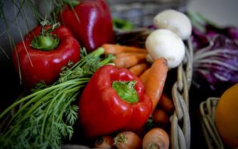  peperoni, carote, prezzemolo e funghi,  tra i prodotti della dieta Mediterranea.ANSA / CIRO FUSCO