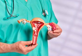 Obstetricianâ  Gynecologist holding teaching tool model of women's uterus and ovary and discussing the common diseases associated with women's health. Dressed in green scrubs