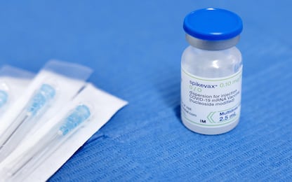 False esenzioni al vaccino anti Covid, 36 indagati a Ravenna