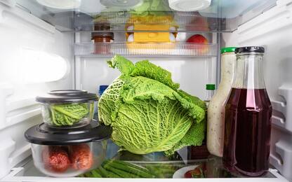 Giornata mondiale sicurezza alimentare, come conservare cibo in frigo