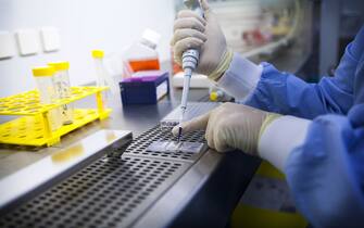 Laboratory developing therapeutic vaccines for the treatment of lung cancer by stimulating the immune system.