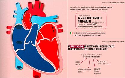 Malattie cardiovascolari, ogni anno nel mondo 17,5 mln morti premature