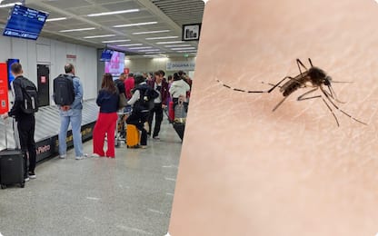 Dengue, ipotesi test in aeroporto per chi arriva da zone a rischio