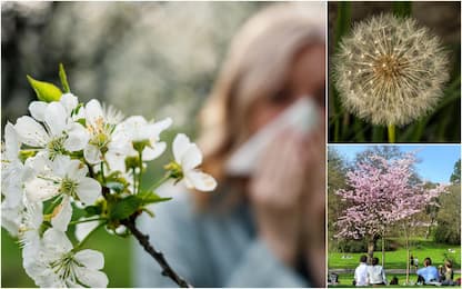 Primavera anticipata, arrivano le allergie: sintomi e cosa fare