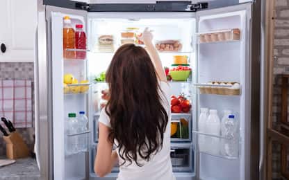 Giornata sicurezza alimentare, come conservare gli alimenti in frigo