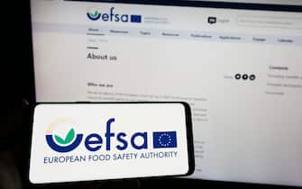 Person holding smartphone with logo of EU agency European Food Safety Authority (EFSA) on screen in front of website. Focus on phone display.
