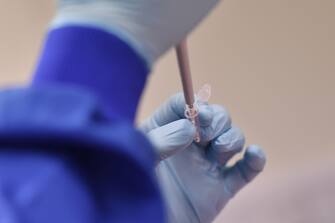 An employee works at the Stabilitech laboratory in Burgess Hill south east England, on May 15, 2020 where scientists are trying to develop an oral vaccine for the COVID-19 illness. - The scientists at Stabilitech are one of the teams attempting to develop a vaccine for COVID-19. Ingested in a capsule into the gut, Stabilitech's potential oral vaccine aims to prompt an immune response in mucosal cells in the respiratory system and elsewhere in the body. The firm believes that will be more effective in tackling respiratory illnesses like coronavirus. The British government is touting the country as a global leader in the big-money investment race to find a vaccine for COVID-19. (Photo by BEN STANSALL / AFP) / TO GO WITH AFP STORY BY JOE JACKSON (Photo by BEN STANSALL/AFP via Getty Images)