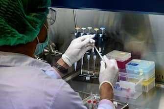 This picture taken on May 23, 2020 shows a laboratory technician filling a syringe with a COVID-19 novel coronavirus vaccine candidate ready for trial on monkeys at the National Primate Research Center of Thailand at Chulalongkorn University in Saraburi. - After conclusive results on mice, Thai scientists from the centre have begun testing a COVID-19 novel coronavirus vaccine candidate on monkeys, the phase before human trials. (Photo by Mladen ANTONOV / AFP) (Photo by MLADEN ANTONOV/AFP via Getty Images)