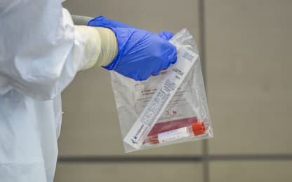 Eboli, 24 positivi al Covid-19 in un'azienda agricola