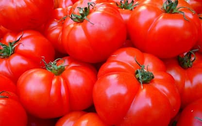 Pomodori: calorie, proprietà e benefici