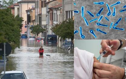 Alluvione Emilia-Romagna, è allarme tetano: i sintomi e come si cura