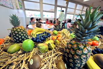 Des enfants d'une classe maternelle mangent des fruits, le 28 novembre 2008 Ã  HÃ©rouville-Saint-Clair. Les pays europÃ©ens vont Ã  partir de la rentrÃ©e scolaire 2009-2012 distribuer une fois par semaine des fruits et lÃ©gumes aux enfants dans les Ã©coles pour lutter contre les mauvaises habitudes alimentaires et l'obÃ©sitÃ©.  AFP  PHOTO   MYCHELE DANIAU / AFP PHOTO / MYCHELE DANIAU        (Photo credit should read MYCHELE DANIAU/AFP via Getty Images)