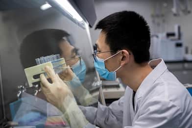 Covid, il vaccino cinese CoronaVac induce rapidamente gli anticorpi