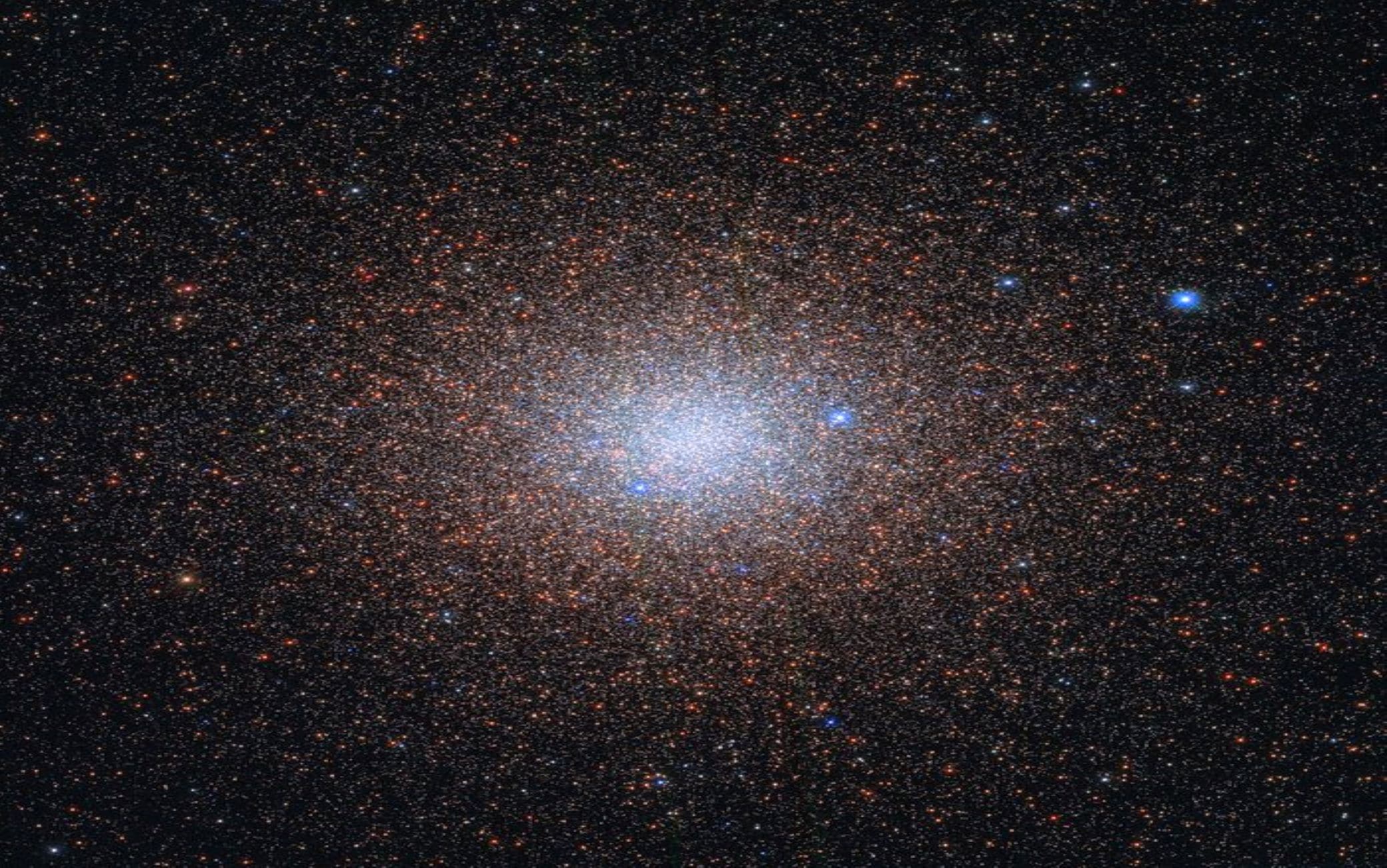 Le stelle presenti nell'ammasso globulare NGC 6441 Le stelle presenti nell'ammasso globulare NGC 6441