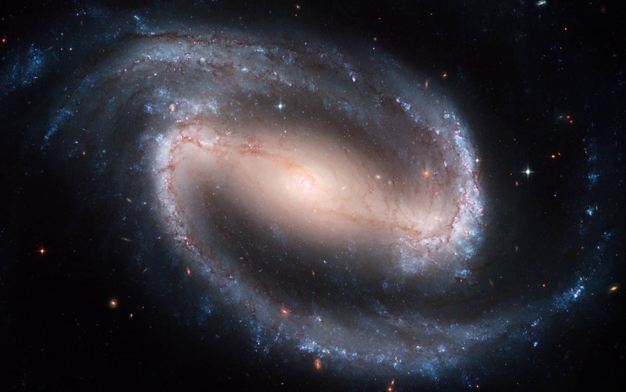 Gli affascinanti dettagli della galassia NGC 1300 