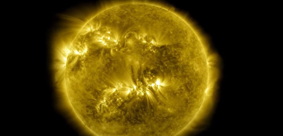 Sole Sole