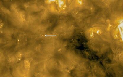 Il Sole visto da distanza record: le immagini della Solar Orbiter Esa