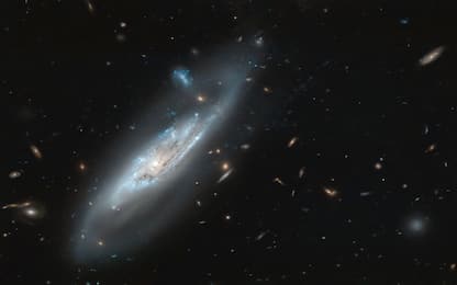 Nasa, da Hubble la splendida immagine della galassia NGC 4848. FOTO
