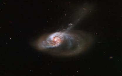 Nasa, da Hubble l’immagine della galassia a spirale NGC 1614