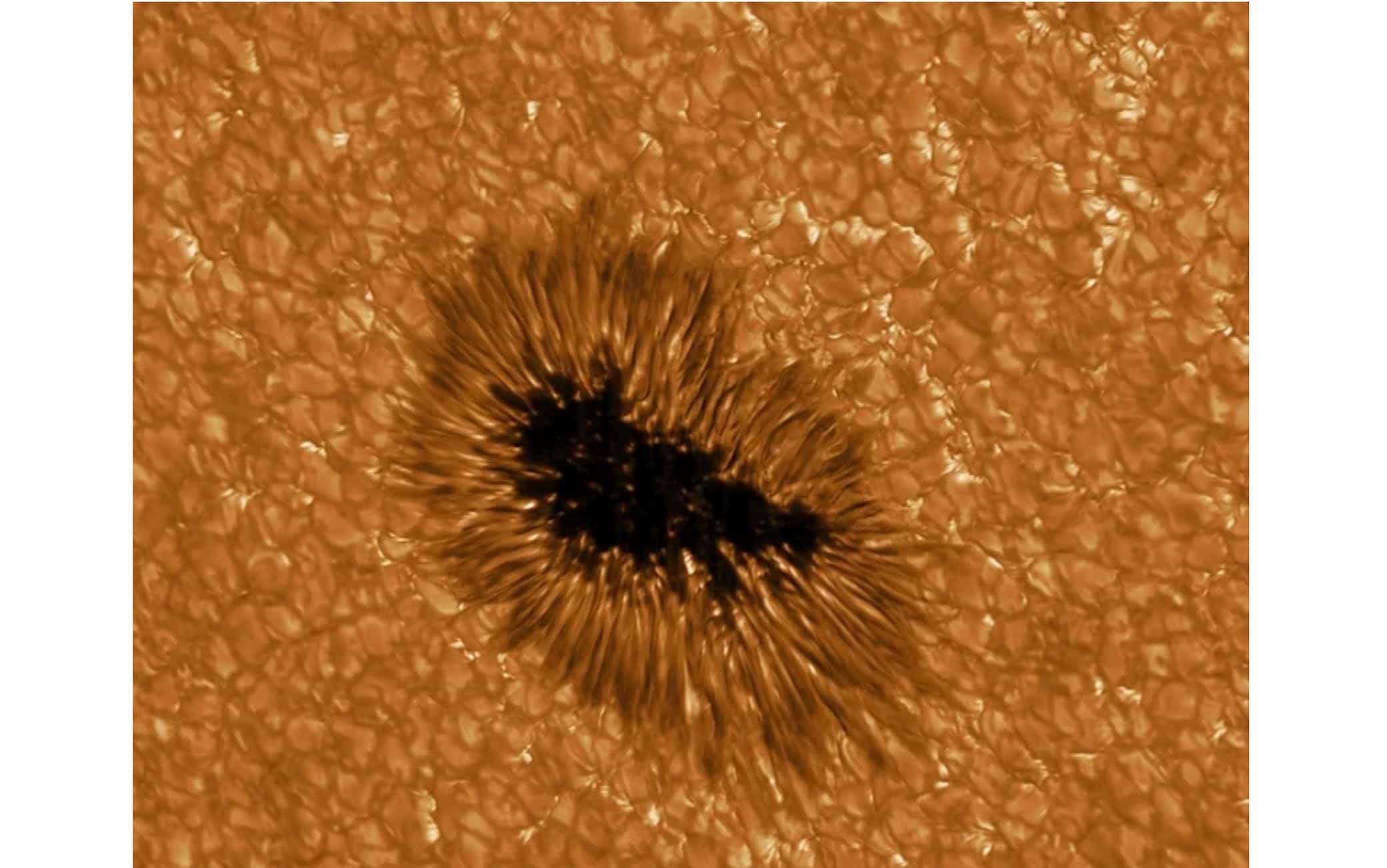Una macchia solare osservata ad alta risoluzione dal telescopio Gregor, alla lunghezza d’onda di 430 nanometri