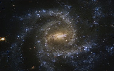Spazio, le antenne di MeerKAT rivelano due radiogalassie giganti