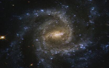 Spazio, le antenne di MeerKAT rivelano due radiogalassie giganti