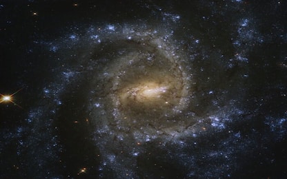 Spazio, le antenne di MeerKAT rivelano due radiogalassie giganti