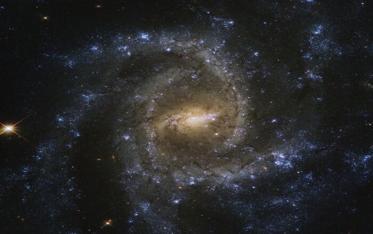 Da Hubble la curiosa immagine della galassia NGC 2835. FOTO Sky TG24