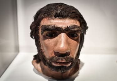 Studio: tracce di Dna di Neanderthal in esseri umani moderni
