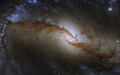 Hubble ha osservato la grande galassia a spirale NGC 1365. FOTO