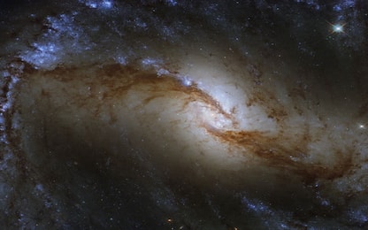 Hubble ha osservato la grande galassia a spirale NGC 1365. FOTO