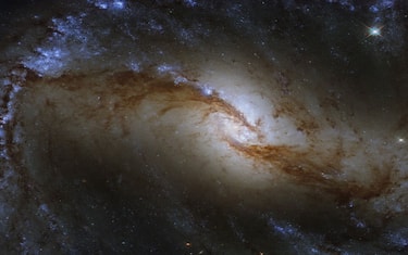 galassia_ngc1365