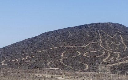 Perù, Linee di Nazca: scoperto un nuovo geoglifo a forma di gatto