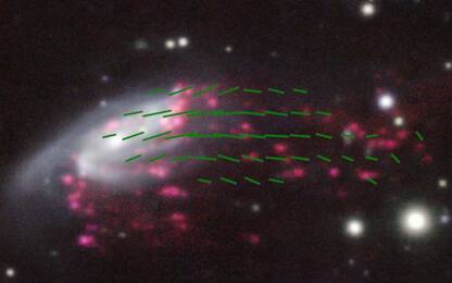 Osservata una “galassia medusa” plasmata dai campi magnetici