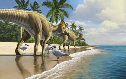 I dinosauri potevano attraversare gli oceani: la prova nei fossili