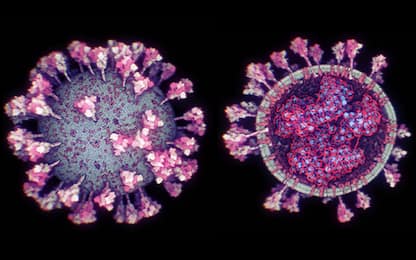 Coronavirus, ecco l’immagine 3D più dettagliata mai realizzata. VIDEO