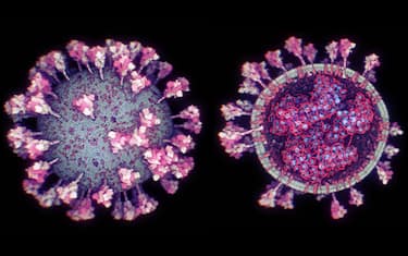 immagine 3d coronavirus