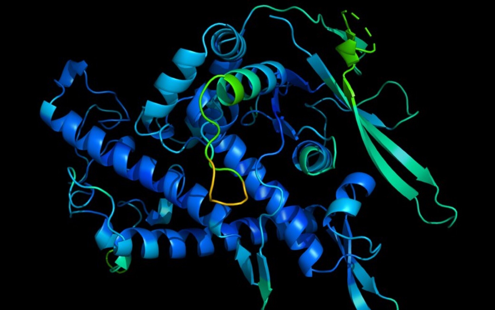 La struttura 3D di una proteina