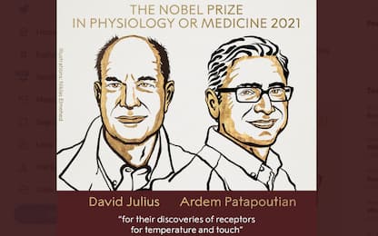 Premio Nobel Medicina 2021, vincono David Julius e Ardem Patapoutian