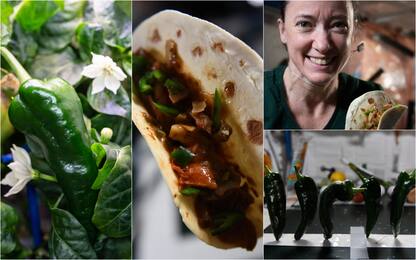 Iss, astronauti mangiano tacos con peperoncini coltivati nello spazio