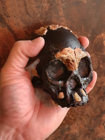 - Johannesburg, South Africa -20211103-
Researchers Announce Discovery of Ancient Skull and Teeth in South Africa
An international team of researchers, led by Professor Lee Berger from Wits University, has today (4 Nov) revealed the first partial skull of a Homo naledi child that was found in the remote depths of the Rising Star Cave in the Cradle of Humankind World Heritage Site near Johannesburg, South Africa. 
Describing the skull and its context in two separate papers in the Open Access journal, PaleoAnthropology, the team of 21 researchers from Wits University and thirteen other universities announced the discovery of parts of the skull and teeth of the child that died almost 250,000 years ago when it was approximately four to six years old. 


-PICTURED: General View (Researchers Announce Discovery of Ancient Skull and Teeth in South Africa)
-PHOTO by: Wits University/Cover Images/INSTARimages.com
-INSTAR_8z1x2Q55335.JPG

This is an editorial, rights-managed image. Please contact Instar Images LLC for licensing fee and rights information at sales@instarimages.com or call +1 212 414 0207 This image may not be published in any way that is, or might be deemed to be, defamatory, libelous, pornographic, or obscene. Please consult our sales department for any clarification needed prior to publication and use. Instar Images LLC reserves the right to pursue unauthorized users of this material. If you are in violation of our intellectual property rights or copyright you may be liable for damages, loss of income, any profits you derive from the unauthorized use of this material and, where appropriate, the cost of collection and/or any statutory damages awarded