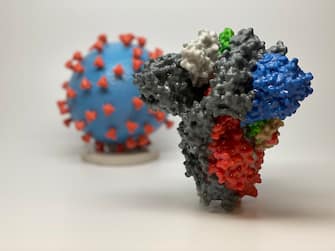 epa08262121 An undated handout picture made available by the National Institutes of Health (NIH) shows a 3D print of a spike protein on the surface of SARS-CoV-2, also known as 2019-nCoV, the virus that causes Covid-19, in front of a 3D print of a SARS-CoV-2 virus particle (issued 01 March 2020). The spike protein (foreground) enables the virus to enter and infect human cells. On the virus model, the virus surface (blue) is covered with spike proteins (red) that enable the virus to enter and infect human cells. US health officials announced on 29 February 2020 the first confirmed death from the new coronavirus in the country in Washington State. The novel coronavirus is on the verge of spreading across the world as more Covid-19 cases are emerging outside China with outbreaks in South Korea, Italy and Iran.  EPA/NATIONAL INSTITUTES OF HEALTH HANDOUT  HANDOUT EDITORIAL USE ONLY/NO SALES