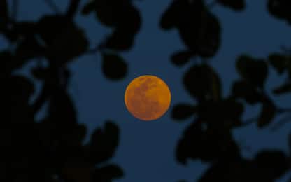 Eclissi lunare, oggi 8 novembre la luna piena rossa