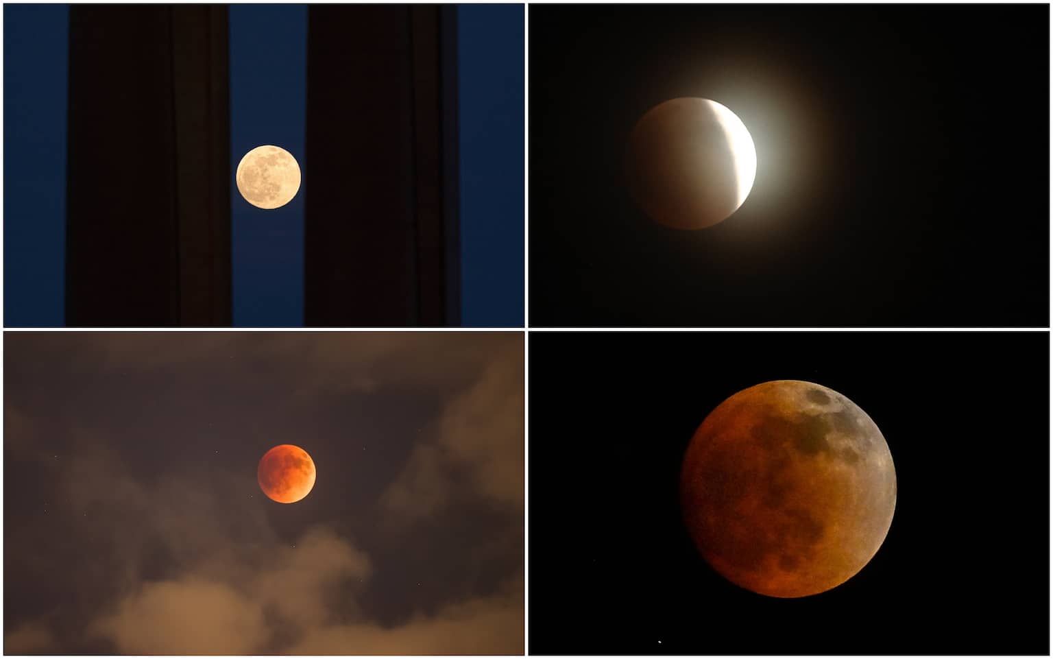 Eclissi lunare, oggi 8 novembre la luna piena rossa a che ora e dove