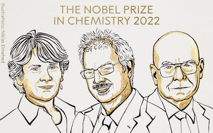 A Bertozzi, Meldal e Sharpless il premio Nobel per la Chimica 2022