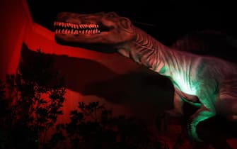 Una delle riproduzione di dinosauro esposte alla Fabbrica del Vapore nell'ambito della mostra "Dinosaur invasion", Milano, 11 ottobre 2018. La mostra è aperta al pubblico dal 12 ottobre 2018 al 3 febbraio 2019. 
ANSA / MATTEO BAZZI
