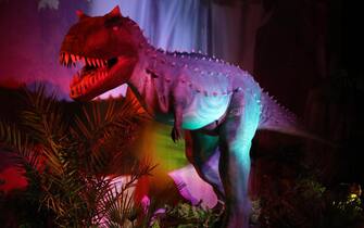 Una delle riproduzione di dinosauro esposte alla Fabbrica del Vapore nell'ambito della mostra "Dinosaur invasion", Milano, 11 ottobre 2018. La mostra è aperta al pubblico dal 12 ottobre 2018 al 3 febbraio 2019. 
ANSA / MATTEO BAZZI